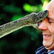 Illustration for article titled Angina Rub Could Keep You Alive After Being Fanged by a Cobra